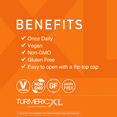 thumbnail image 6 of TurmericXL Joint Support & Supports Healthy Inflammatory Response - Delivers 45x More Curcumin - High Absorption - Gluten-Free – 250mg, 30 Veggie Capsules, 6 of 10