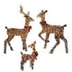 thumbnail image 4 of Renos Iluminados De Navidad Decoración Familiar Luces LED Para Vacaciones De Navidad Colco  Renos iluminados, 4 of 8