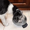 thumbnail image 5 of Smart Weighing Pet Bowl Kitchen Electronic Scale, 5 of 5
