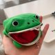 thumbnail image 4 of Monedero de rana Divertida bolsa de dinero, 4 of 4