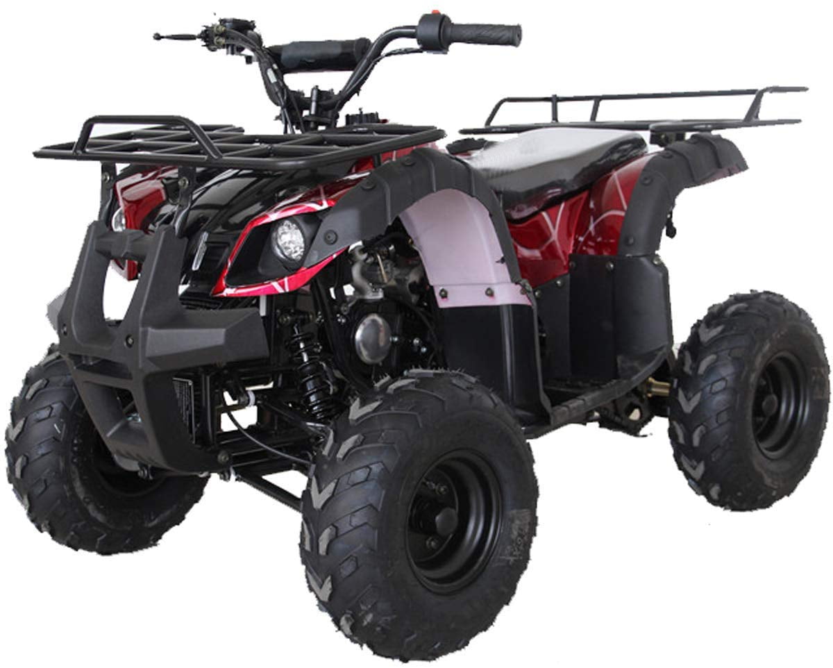 Tao Motor ATA 125D 125cc ATV with Electric Start and Reverse