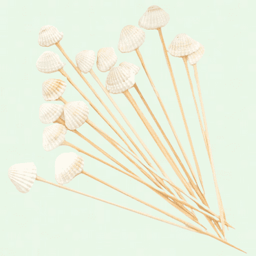 White Seashell Cocktail Toothpicks, 4.7 Inch, Pack of 100