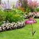 thumbnail image 5 of Alimentador De Pájaros Estacas De Flores De Metal Hermosa Bandeja De Semillas De Pájaros De Coneflower Rosa Para Decoración De Jardín Al Aire Libre Cateissary PT002516-01, 5 of 6