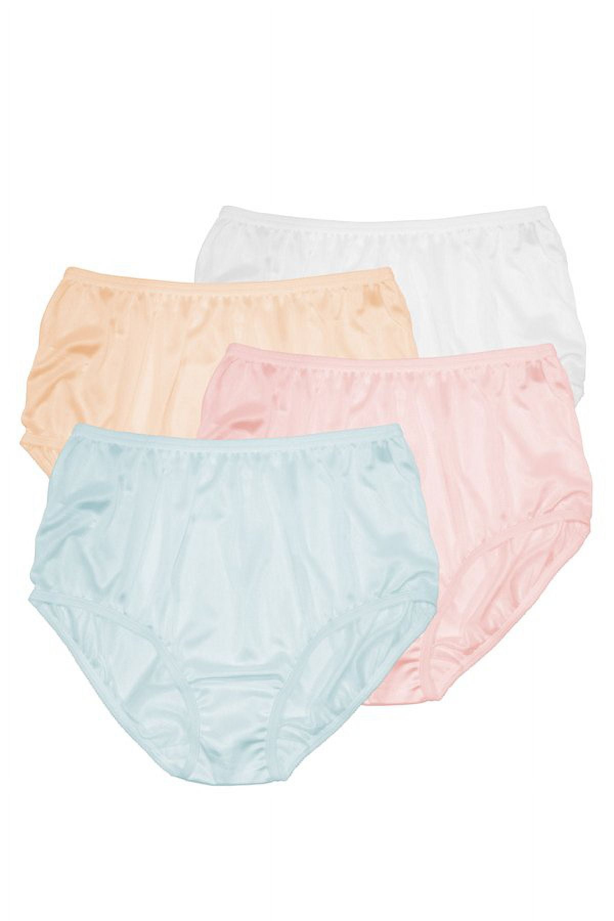 Women's Classic, Nylon, Full Coverage Brief Panty by Teri Lingerie Assorted  Colors 4 Pack 