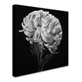 thumbnail image 3 of Trademark Fine Art "Mum II" Canvas Art by Michael Harrison, 3 of 4
