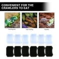 thumbnail image 3 of UPGRATOR 10Ud Comederos Para Reptiles Con Antiescape De Plástico Resistente Multicolor, 3 of 8