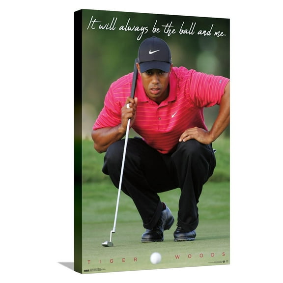 Tiger Woods - The Ball & Me Canvas Wall Poster, 14.725" x 22.375"