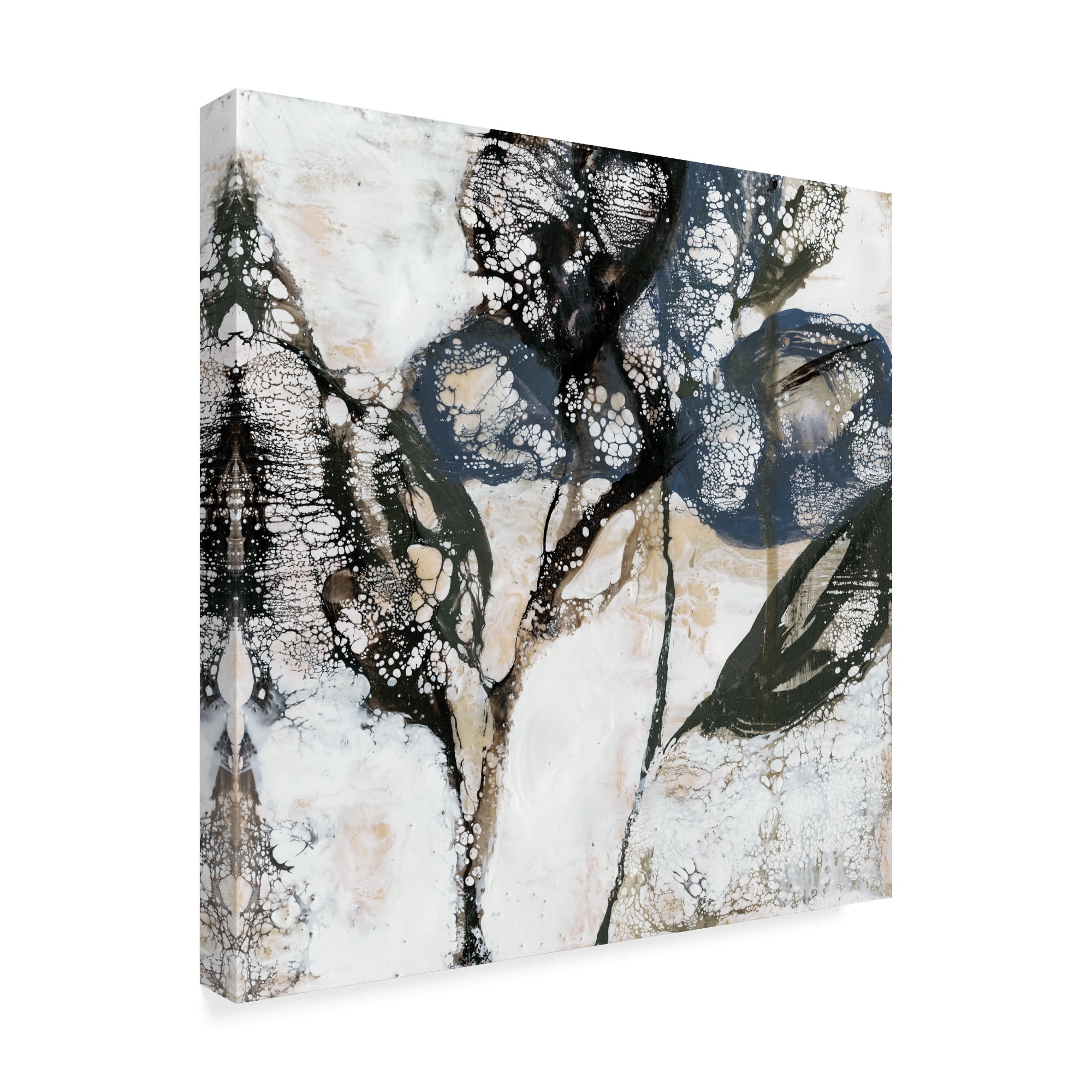 Trademark Fine Art 'Crackled Stems I' Canvas Art by Jennifer Goldberger