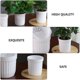 thumbnail image 3 of ADDHAT 5Jgo Macetero Plástico Automático Absorbente De Para Plantas Con Absorbente, 3 of 6