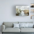 thumbnail image 2 of Trademark Fine Art Dan Hobday  River Canvas Wall Art, 2 of 4
