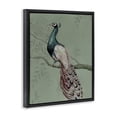 thumbnail image 4 of Stupell Industries Regal Peacock on Branch Animals Painting Black Floater Framed Canvas Art Print Wall Art, 17 x 21, 4 of 10