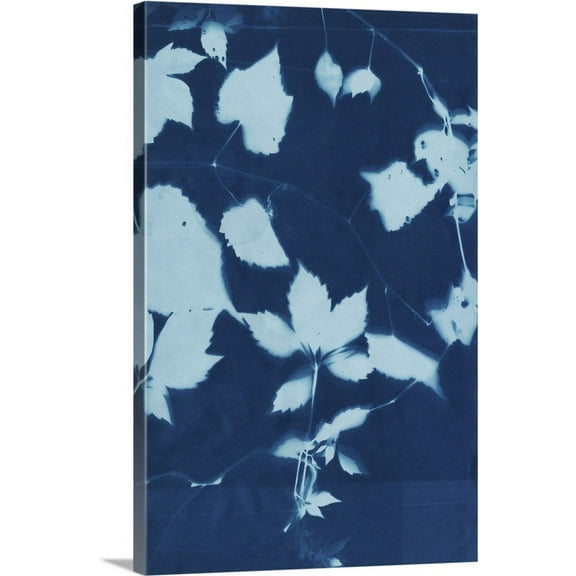 Great BIG Canvas | "Cyanotype No.12" Canvas Wall Art - 24x36