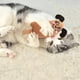 thumbnail image 4 of Juguete Interactivo con Forma de Perro y Gato, Resistente a Los Mordiscos, de Plástico, Divertido para Limpiar Los Dientes., 4 of 5