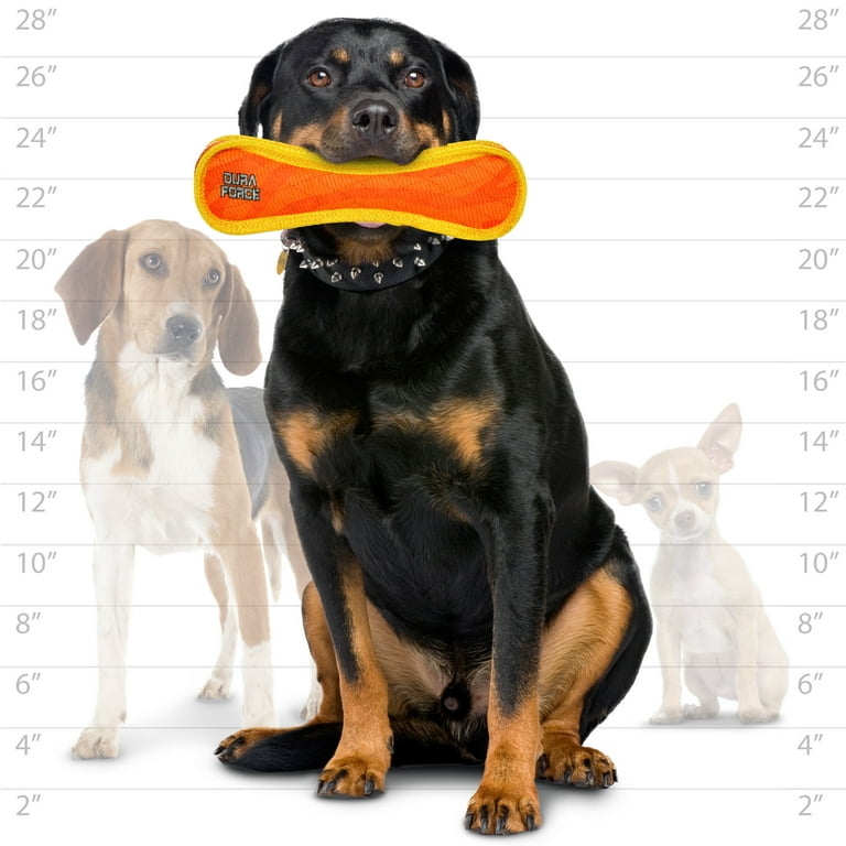 Duraforce dog toy 10 hotsell
