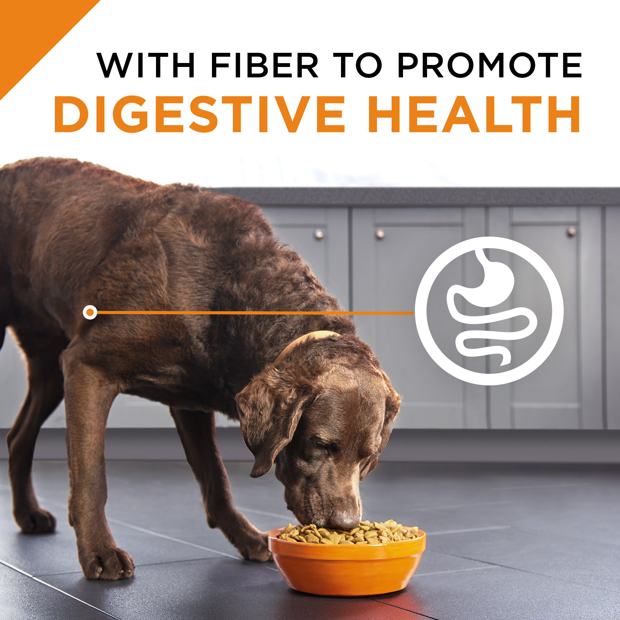 Purina Pro Plan With Probiotics Grain Free High Protein Dry Dog Food Savor Shredded Turkey Chicken 24 Lb Bag Walmart Com Walmart Com