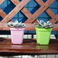 thumbnail image 3 of Square Plastic Plant Pot Planter Flower Pot with Pallet Tray Saucer for Decoration of Home Office Desk Garden Flower Shop, 3 of 7