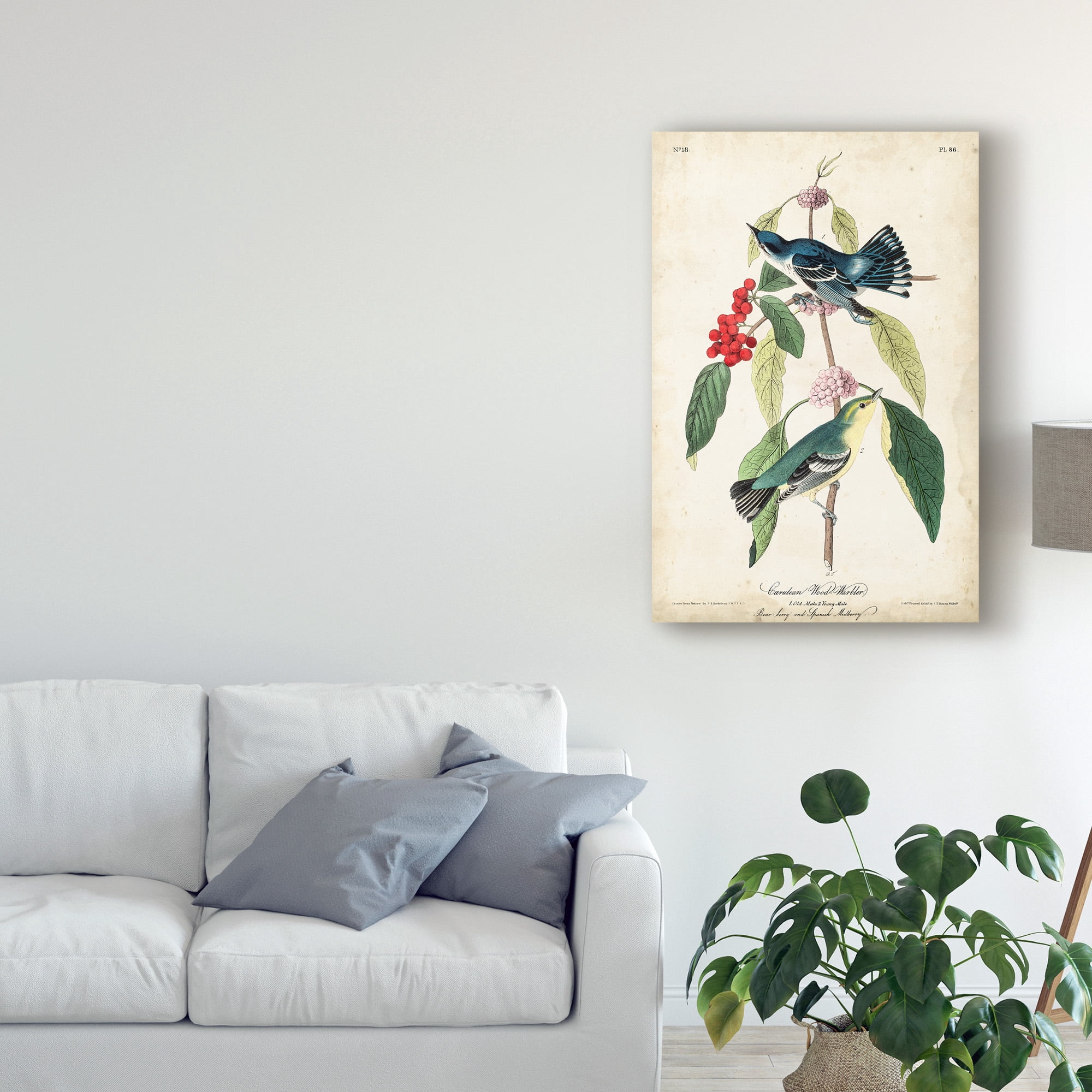 Trademark Fine Art 'Cerulean Wood Warbler' Canvas Art by John James Audubon