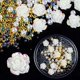 thumbnail image 1 of 10 Uds 3D flores secas uñas arte decoraciones flores naturales encantos de uñas conjunto de joyería suministros de uñas para accesorios profesionales Tan Jianjun unisex, 1 of 2