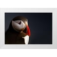 thumbnail image 1 of Ennedi 24x17 White Modern Wood Framed Museum Art Print Titled - Puffin portrait, 1 of 4