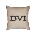 thumbnail image 1 of BVI British Virgin Islands Simple Font Graphic Decorative Linen Throw Cushion Pillow Case with Insert, 1 of 6