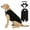 C, variant on Pet Dog Cat Tuxedo Suit Jacket, Formal Ceremonial Wear, Perfect for Wedding Party Special Occasion, Elegant Adjustable Outfit All Breeds