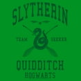 thumbnail image 2 of Boys Harry Potter Slytherin Quidditch Team Seeker T Shirt, 2 of 4