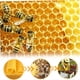 thumbnail image 4 of Hojas de de Abejas 30 Piezas Hojas de Base de de Abejas Base de para Marcos de Abejas Hojas de Panal Natural Hojas de de Abejas, 4 of 5