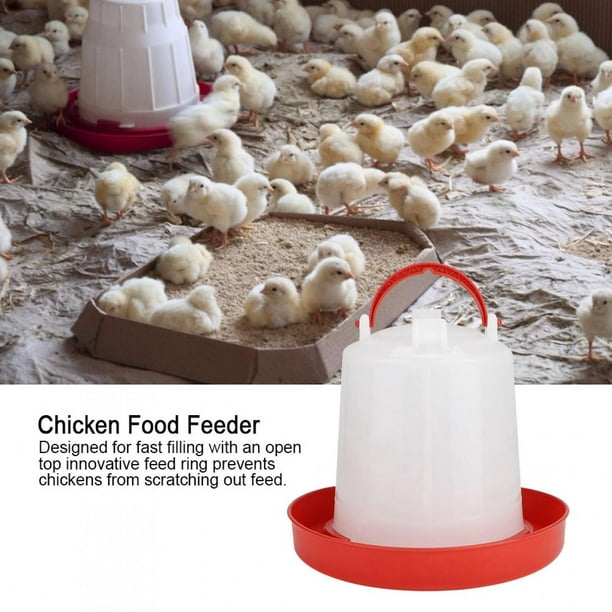 Mangeoire électronique pour poules et poulets - Poulailler Design