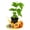 1 Plant, variant on Giant Granadilla Passion Fruit Plant - 1 Live Plant in a 3 Inch Growers Pot - Passiflora Quadrangularis - Edible Fruit Bearing Vine for The Patio and Garden