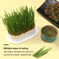 thumbnail image 4 of Cat Grass Planter Hydroponic Cat Grass Growing Kit (No Seeds Included) Catnip Wheatgrass Seed Sprout, 4 of 8