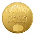 thumbnail image 3 of Sobreviví 2020 Moneda conmemorativa Recuerdos del pasado Regalo Recuerdo especial 5 piezas Afortunado Sencillez, 3 of 5
