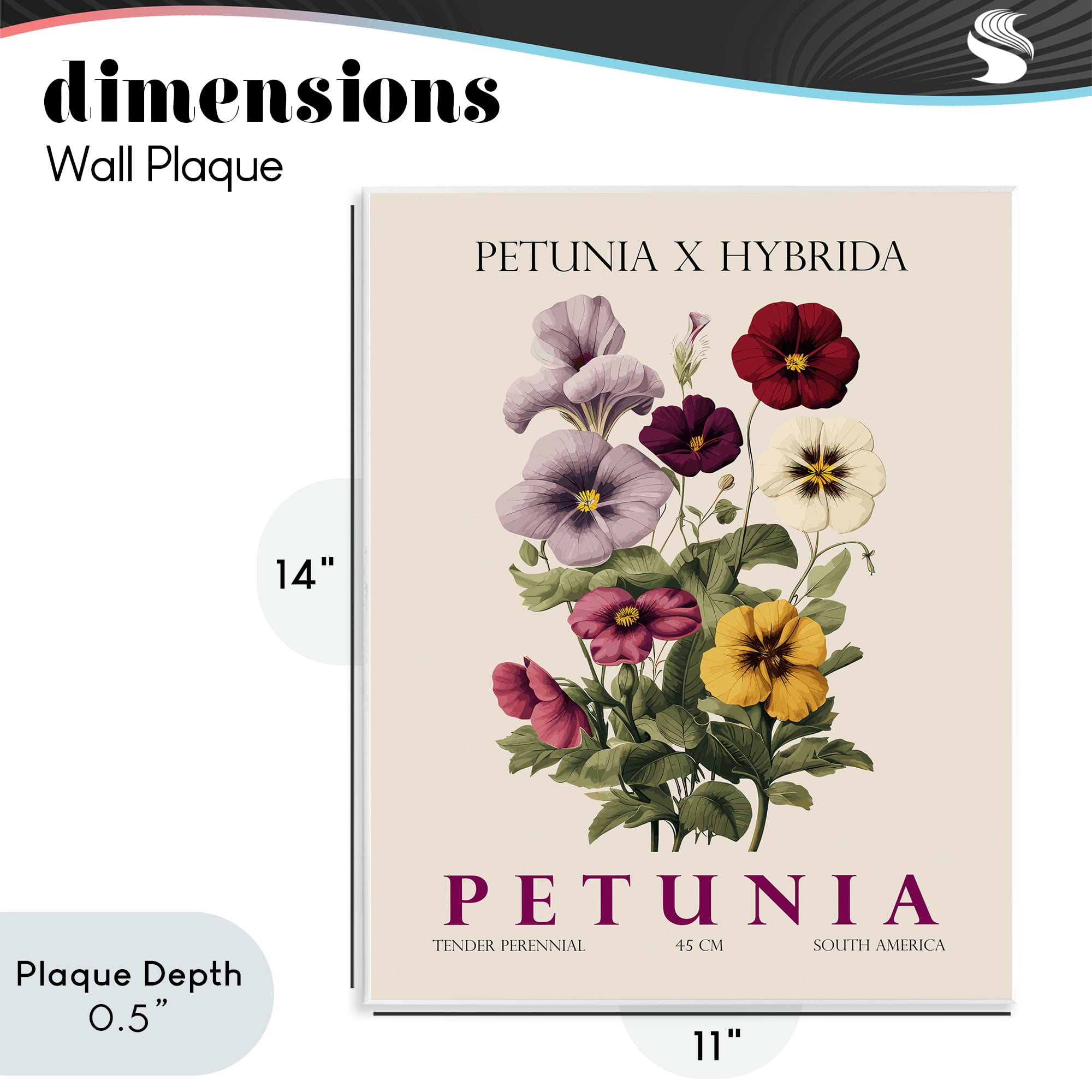 Stupell Industries Natural Petunia Bundle Wall Plaque Art, design by Christopher Giampietro