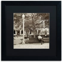 Trademark Fine Art "Faro I" Canvas Art by Alan Blaustein, Black Matte, Black Frame