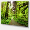 thumbnail image 2 of Chemin dans la Forêt Tropicale de Redwood - Impression sur Toile, 2 of 3