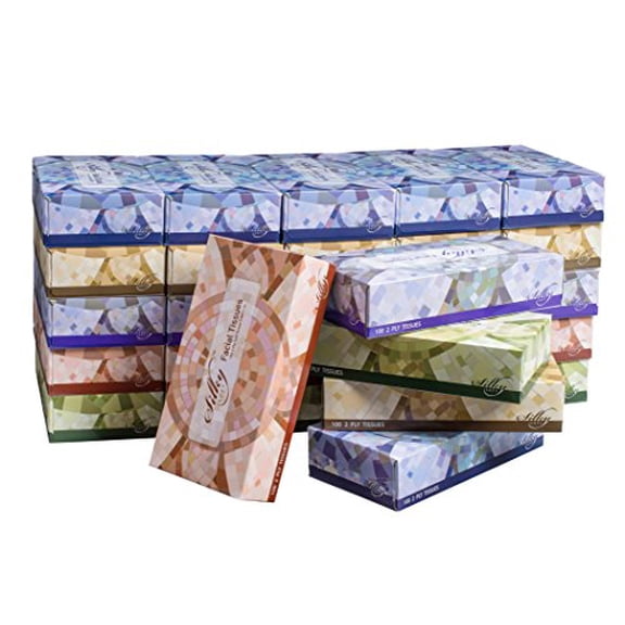 Silky Soft 2-Ply Facial Tissues, White, 100 Tissues/Box, 30 Boxes (3,000 Total Tissues)