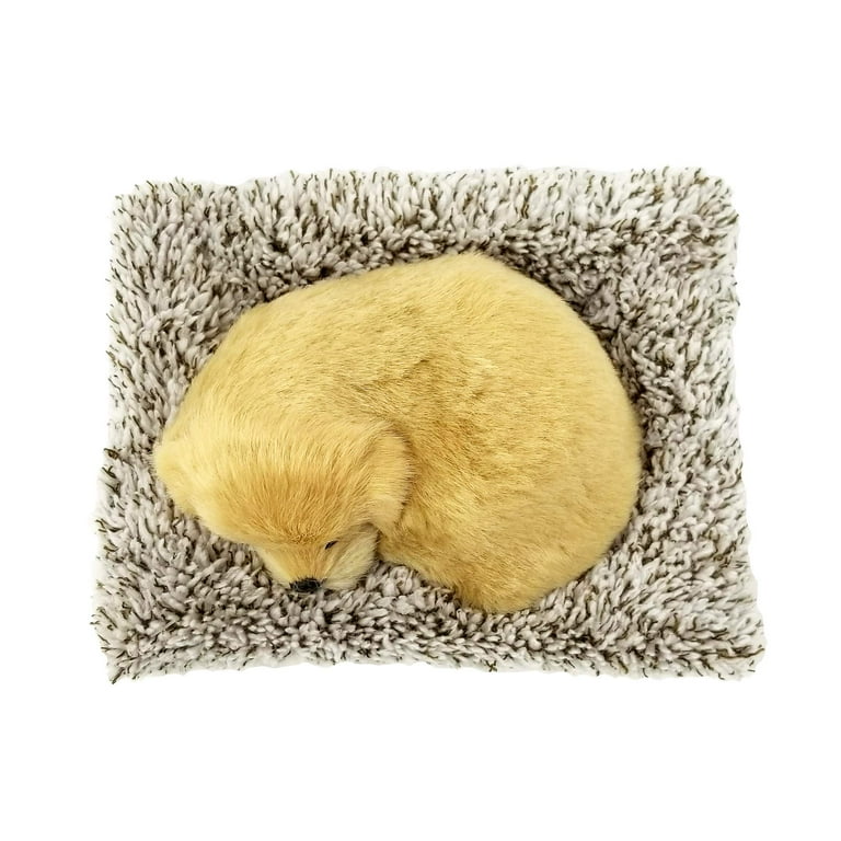 Golden retriever peluche vivante - Perfect petzzz