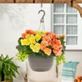 thumbnail image 5 of Better Homes & Gardens 10 in Multicolor Begonia Live Annual Plant in 2 gal Hanging Basket, Sun-Loving, 5 of 7
