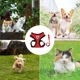 thumbnail image 2 of Pechera Arnés Muy Cómodo Con Correa Para Perro O Gato, 2 of 6