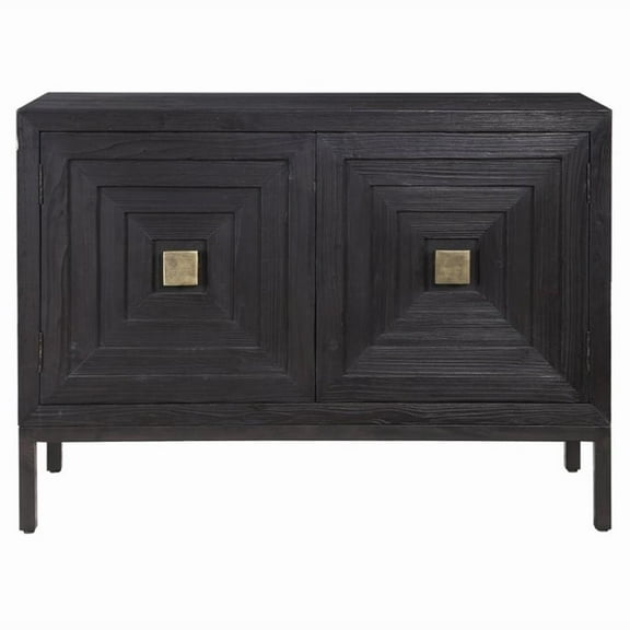 Bowery Hill Contemporary 2 Door Wood Cabinet in Ebony