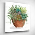 thumbnail image 5 of Epic Art 'Terracotta Succulents I' by Cindy Jacobs, Acrylic Glass Wall Art, 12"x12", 5 of 13