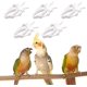 thumbnail image 2 of 5 uds Clip para fruta de pájaro, herramienta para fruta de loro y pájaro, comedero para jaula de pájaros, 2 of 5