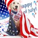 thumbnail image 3 of Paquete de 2 pañuelos para perros del 4 de julio, suministros para fiestas caninas del Día de la Independencia, bufanda triangular para mascotas, pañuelo para la cabeza para mascotas, 3 of 5