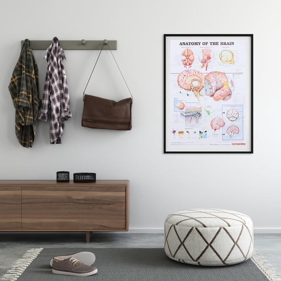 GOOHOCHY 1Set Human Body Poster for School Laboratory Learning Aid Anatomy Chart Educational Tool