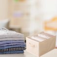 thumbnail image 1 of Caja de Almacenamiento de Ropa Interior onlyliua Organizador de Pantalones con Cremallera Plegable, 1 of 6
