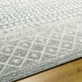 thumbnail image 6 of Boutique Rugs Morey Farmhouse Moroccan Geometric Runner Rug - Boho Aztec Tribal Carpet for Hallway, Kitchen - Light Gray, Cream - 2'7" x 7'7" Runner, 6 of 10
