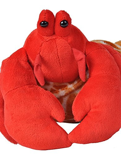 stuffed hermit crab