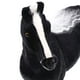 thumbnail image 4 of Figura de simulación de caballo, modelo animal, adorno para el hogar, muñeco de peluche, juguete para niños Negro, 4 of 9