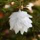 thumbnail image 5 of Adorno de bola de Navidad, colgante de árboles de Navidad, decoración decorativa para el hogar, colgante de adornos navideños para aniversario, fiesta Estilo A, 5 of 7