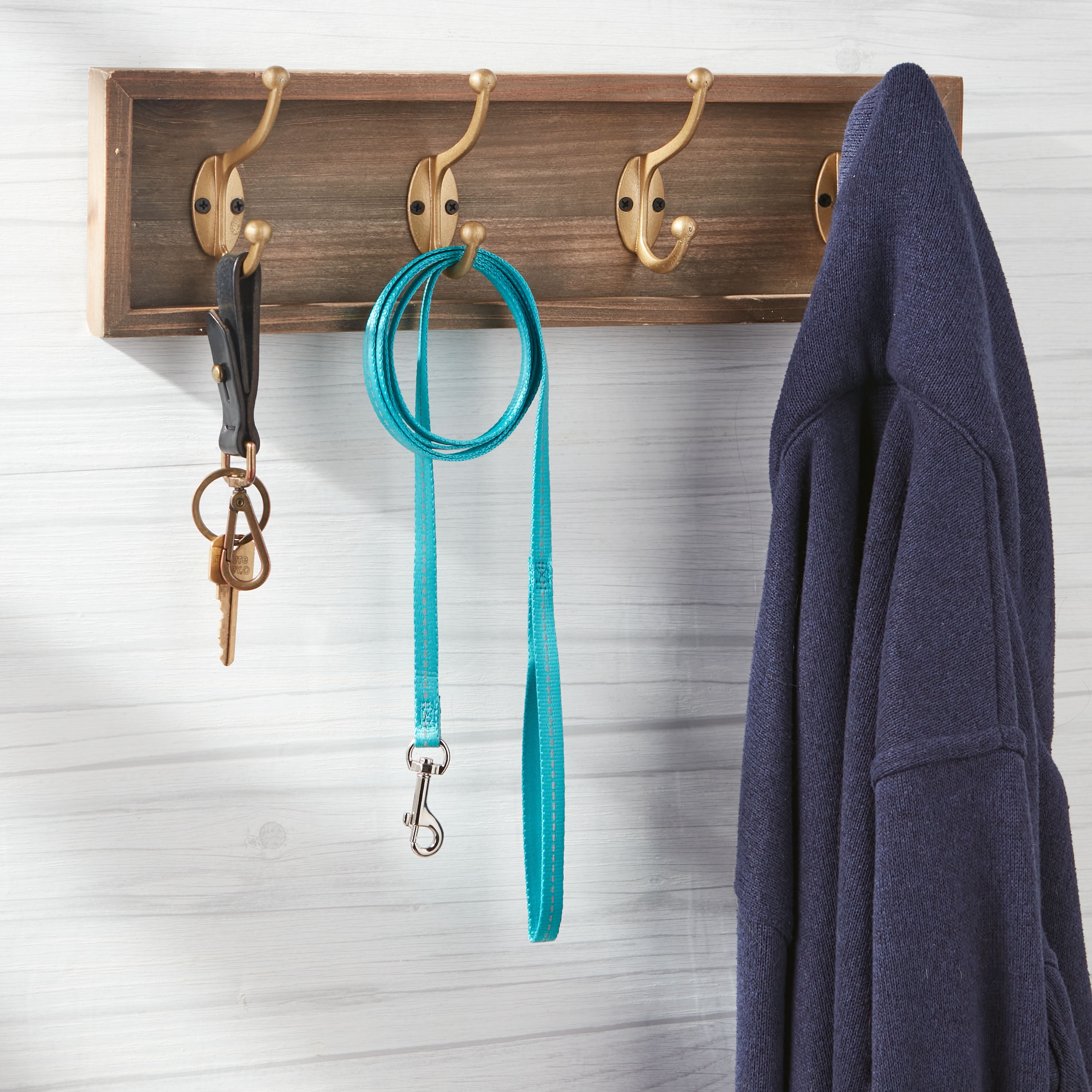 Vibrant Life Solid Nylon Dog Leash, Teal, Small, 5-ft, 3/8-in