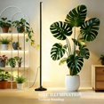 thumbnail image 4 of Vertical LED Grow Light for Indoor Plants Full Spectrum, 36W 280 LEDs Floor Standing Plant Light with 120° Side Coverage, 10 Dimmable Levels & Auto On/Off Timer,Energy Saving for Grow Tent Greenhouse, 4 of 9
